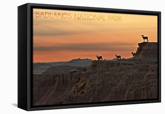 Badlands National Park, South Dakota - Rams on Ridge-Lantern Press-Framed Stretched Canvas