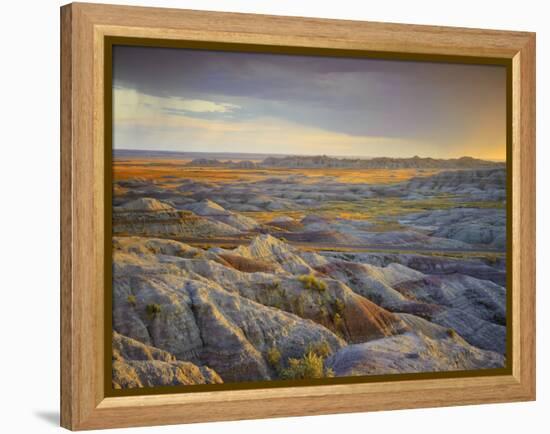 Badlands National Park, South Dakota, USA-Michele Falzone-Framed Premier Image Canvas