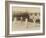 Badminton at Riposo, 20th Century-Andrew Pitcairn-knowles-Framed Giclee Print