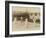 Badminton at Riposo, 20th Century-Andrew Pitcairn-knowles-Framed Giclee Print