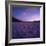 Badwater Basin at Dusk.-Jon Hicks-Framed Photographic Print