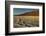 Badwater Basin at sunset, Death Valley National Park, California-Markus Lange-Framed Photographic Print