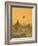 Bagan at Sunset, Mandalay, Burma (Myanmar)-Nadia Isakova-Framed Photographic Print