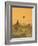 Bagan at Sunset, Mandalay, Burma (Myanmar)-Nadia Isakova-Framed Photographic Print