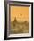 Bagan at Sunset, Mandalay, Burma (Myanmar)-Nadia Isakova-Framed Photographic Print