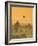 Bagan at Sunset, Mandalay, Burma (Myanmar)-Nadia Isakova-Framed Photographic Print