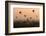 Bagan, balloons flying over ancient temples-Sarawut Intarob-Framed Photographic Print