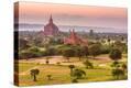 Stretched Canvas Print