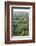 Bagan Terracotta Temples, Bagan (Pagan)-Annie Owen-Framed Photographic Print