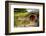 Baggin Hobbit Home New Zealand-null-Framed Premium Giclee Print