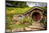 Baggin Hobbit Home New Zealand-null-Mounted Art Print