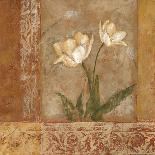 Tulips in White-Bagnato Judi-Art Print