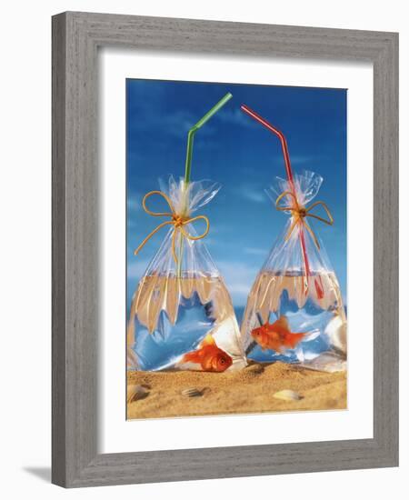 Bags of Fish-Gilbert Larmuseau-Framed Art Print