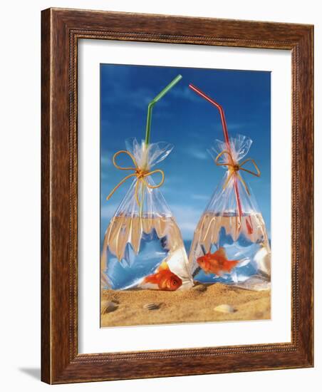 Bags of Fish-Gilbert Larmuseau-Framed Art Print