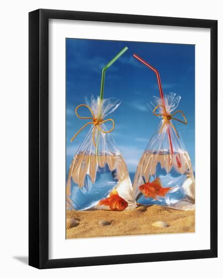 Bags of Fish-Gilbert Larmuseau-Framed Art Print