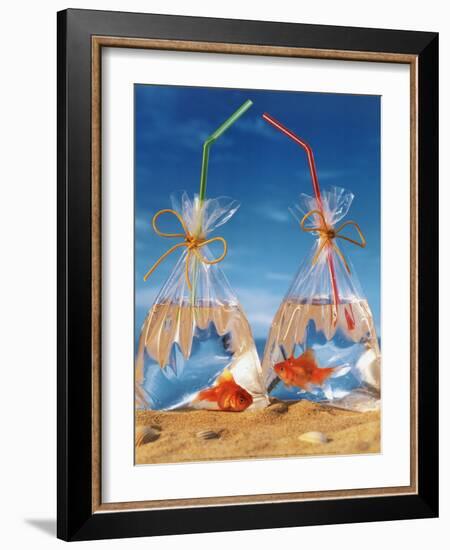 Bags of Fish-Gilbert Larmuseau-Framed Art Print