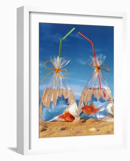 Bags of Fish-Gilbert Larmuseau-Framed Art Print