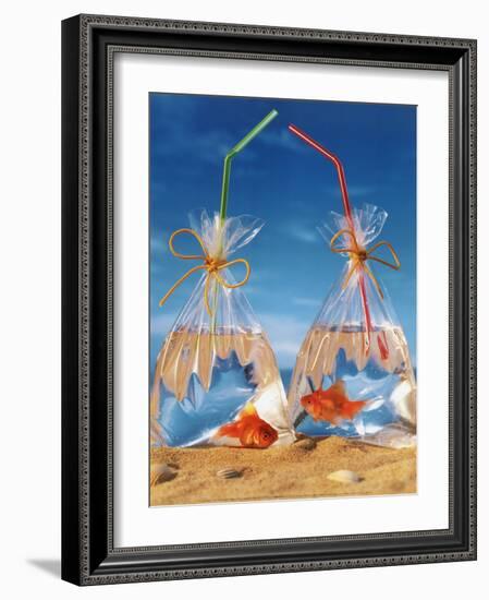 Bags of Fish-Gilbert Larmuseau-Framed Art Print