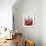 Baguette, Tin of Corned Beef, Eggs and Tabasco-Peter Medilek-Framed Photographic Print displayed on a wall