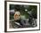 Baguettes on Back on Scooter, Monaco-Ethel Davies-Framed Photographic Print