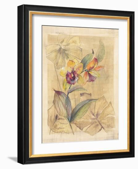 Bahama Breeze I-Paul Hargittai-Framed Art Print