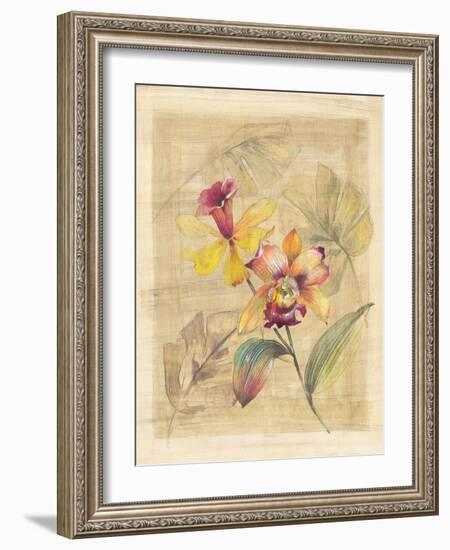 Bahama Breeze II-Paul Hargittai-Framed Art Print