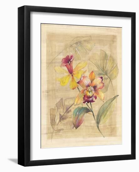 Bahama Breeze II-Paul Hargittai-Framed Art Print