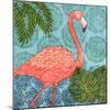 Bahama Flamingo I-Paul Brent-Mounted Art Print