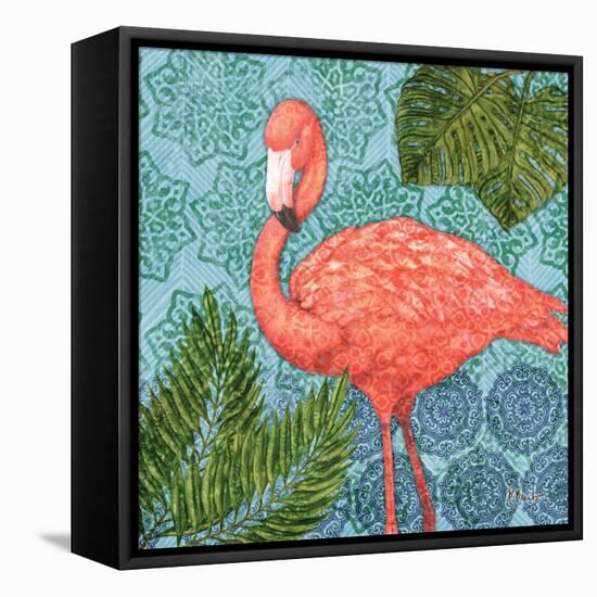 Bahama Flamingo II-Paul Brent-Framed Stretched Canvas