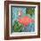 Bahama Flamingo II-Paul Brent-Framed Art Print