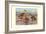 Bahama, Galapagos Island, and African Red-Billed Ducks-Louis Agassiz Fuertes-Framed Art Print