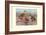 Bahama, Galapagos Island, and African Red-Billed Ducks-Louis Agassiz Fuertes-Framed Art Print