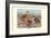 Bahama, Galapagos Island, and African Red-Billed Ducks-Louis Agassiz Fuertes-Framed Art Print