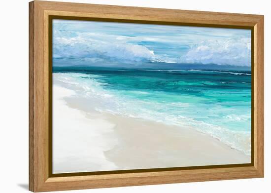 Bahama Storm-Suzanne Wilkins-Framed Stretched Canvas