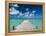 Bahamas, Eleuthera Island, Tarpum Bay, Town Pier-Walter Bibikow-Framed Premier Image Canvas