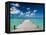 Bahamas, Eleuthera Island, Tarpum Bay, Town Pier-Walter Bibikow-Framed Premier Image Canvas