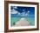 Bahamas, Eleuthera Island, Tarpum Bay, Town Pier-Walter Bibikow-Framed Photographic Print