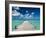 Bahamas, Eleuthera Island, Tarpum Bay, Town Pier-Walter Bibikow-Framed Photographic Print