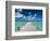 Bahamas, Eleuthera Island, Tarpum Bay, Town Pier-Walter Bibikow-Framed Photographic Print