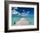 Bahamas, Eleuthera Island, Tarpum Bay, Town Pier-Walter Bibikow-Framed Photographic Print