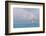 Bahamas, Exuma Island. Sailboat at Sunset-Don Paulson-Framed Photographic Print