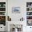 Bahamas, Exuma Island. Sperm Whale Bones on Display-Don Paulson-Framed Photographic Print displayed on a wall