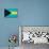 Bahamas Flag Design with Wood Patterning - Flags of the World Series-Philippe Hugonnard-Art Print displayed on a wall