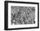 Bahamas, Little Exuma Island. Coral Close-up in Black and White-Don Paulson-Framed Photographic Print