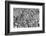 Bahamas, Little Exuma Island. Coral Close-up in Black and White-Don Paulson-Framed Photographic Print