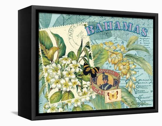Bahamas-Pamela Gladding-Framed Stretched Canvas