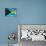 Bahamian Flag-bioraven-Art Print displayed on a wall