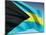 Bahamian Flag-bioraven-Mounted Art Print