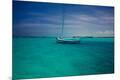 Photographic Print