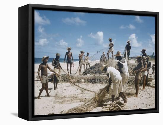 Bahia Fisherman on Beach with their Nets-Dmitri Kessel-Framed Premier Image Canvas